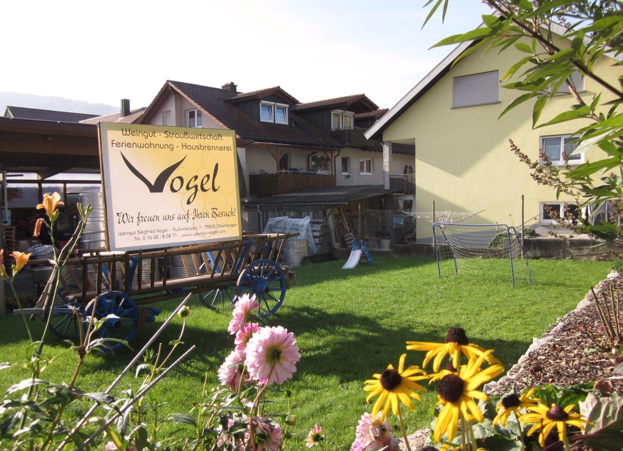 Апартаменты Weingut & Strausswirtschaft Vogel Фогтсбург Экстерьер фото