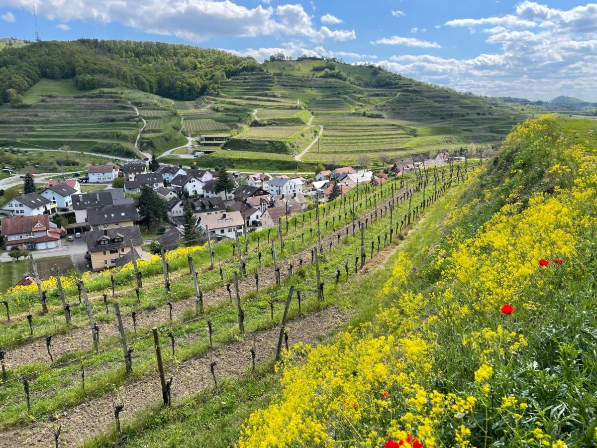 Апартаменты Weingut & Strausswirtschaft Vogel Фогтсбург Экстерьер фото