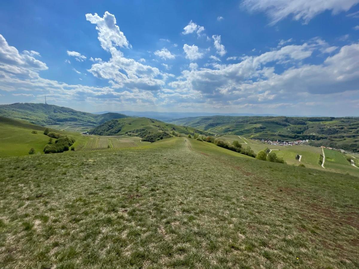 Апартаменты Weingut & Strausswirtschaft Vogel Фогтсбург Экстерьер фото