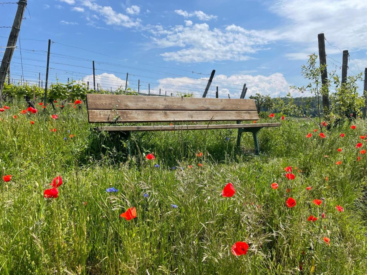 Апартаменты Weingut & Strausswirtschaft Vogel Фогтсбург Экстерьер фото