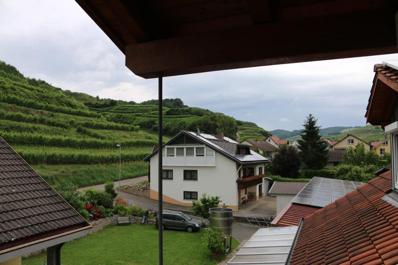 Апартаменты Weingut & Strausswirtschaft Vogel Фогтсбург Экстерьер фото