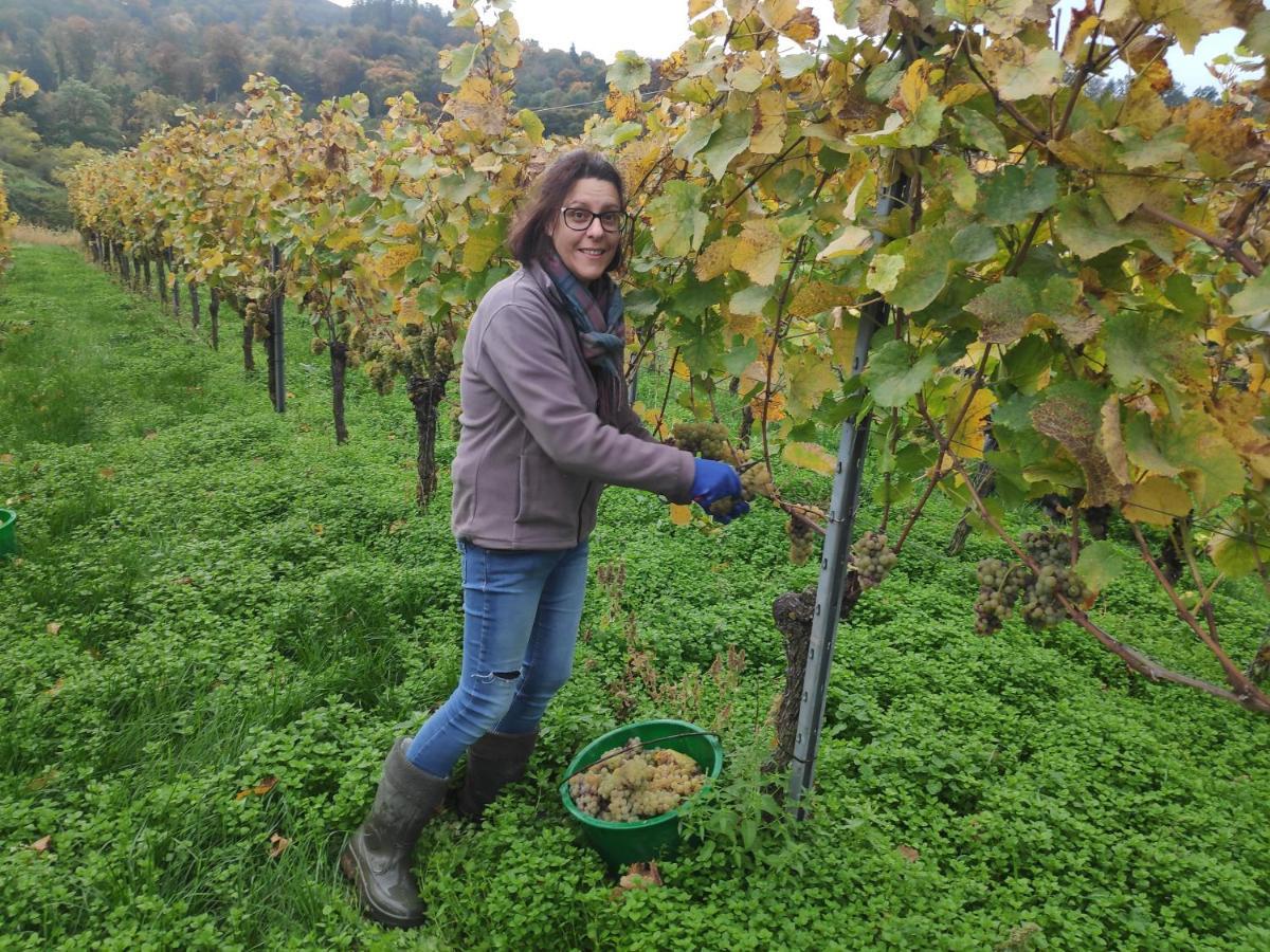 Апартаменты Weingut & Strausswirtschaft Vogel Фогтсбург Экстерьер фото
