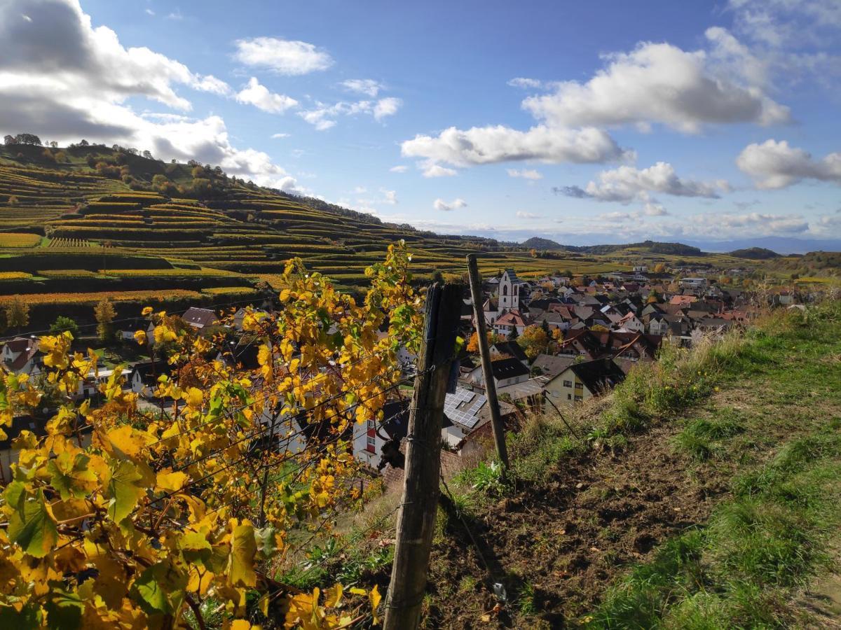 Апартаменты Weingut & Strausswirtschaft Vogel Фогтсбург Экстерьер фото