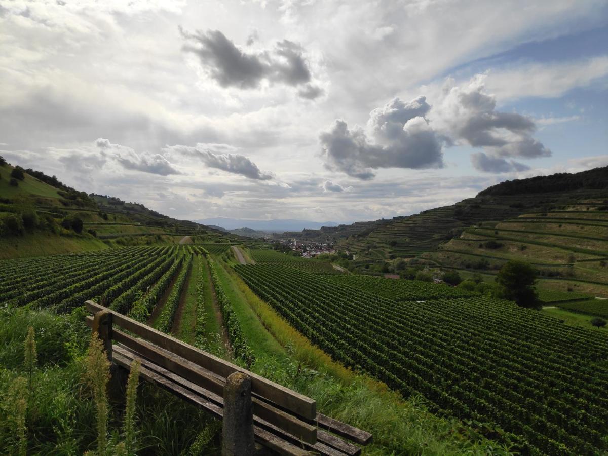 Апартаменты Weingut & Strausswirtschaft Vogel Фогтсбург Экстерьер фото