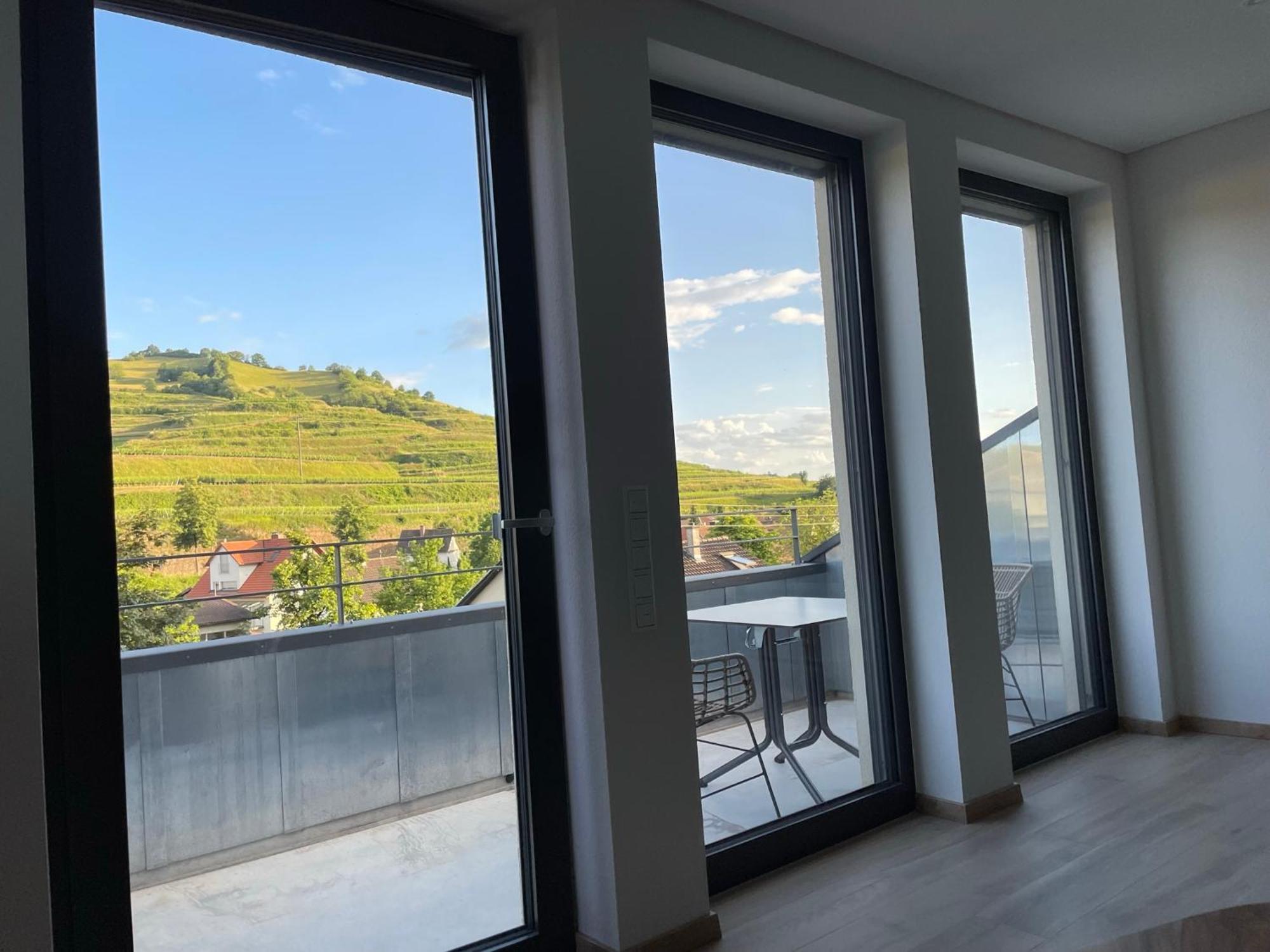 Апартаменты Weingut & Strausswirtschaft Vogel Фогтсбург Экстерьер фото