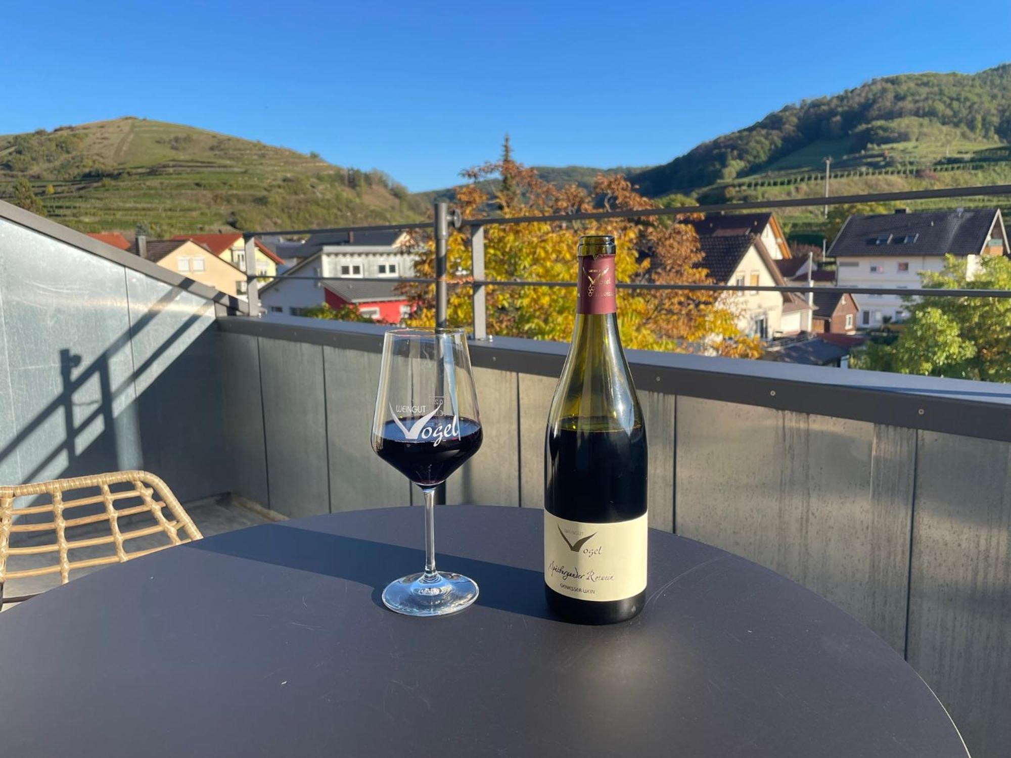 Апартаменты Weingut & Strausswirtschaft Vogel Фогтсбург Экстерьер фото