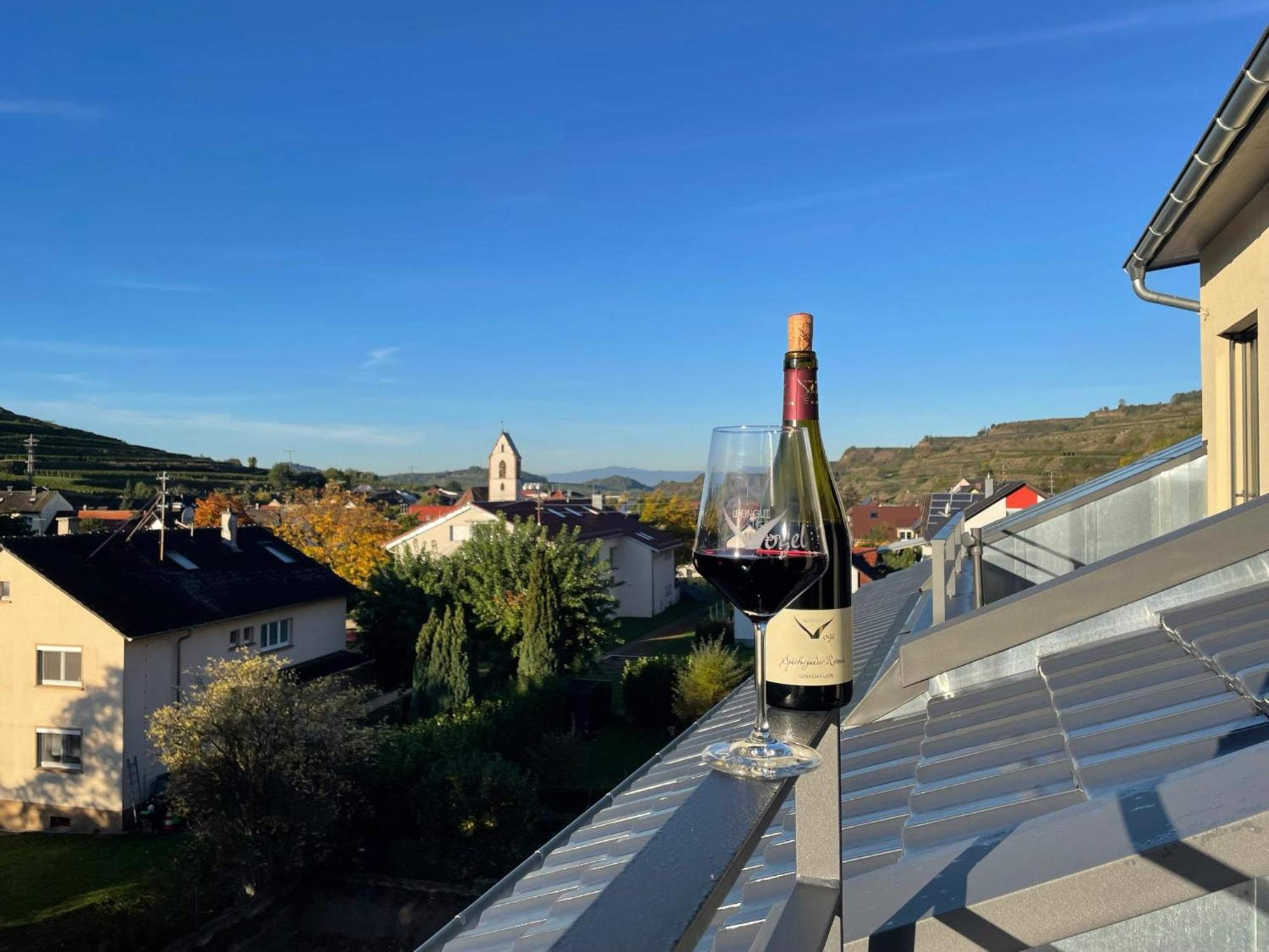 Апартаменты Weingut & Strausswirtschaft Vogel Фогтсбург Экстерьер фото