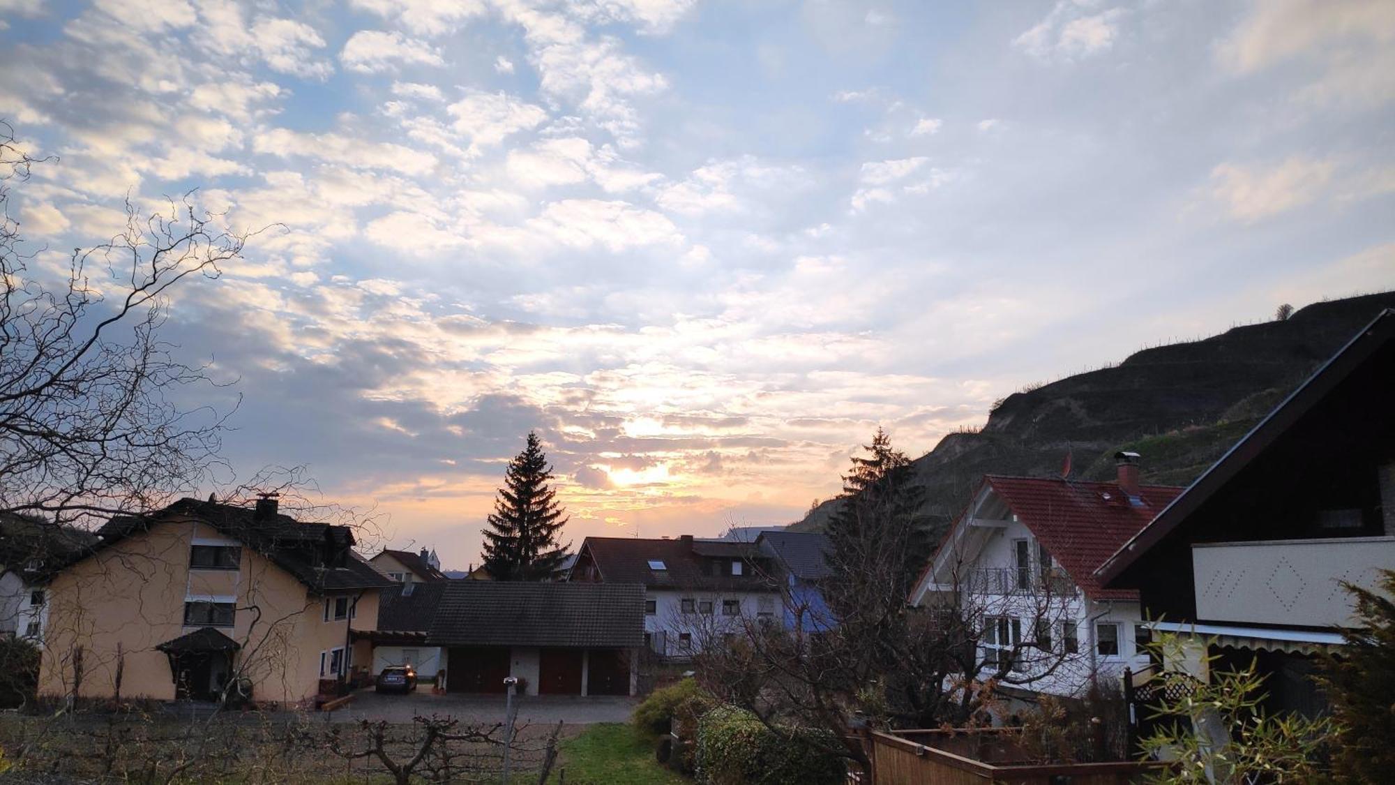 Апартаменты Weingut & Strausswirtschaft Vogel Фогтсбург Экстерьер фото