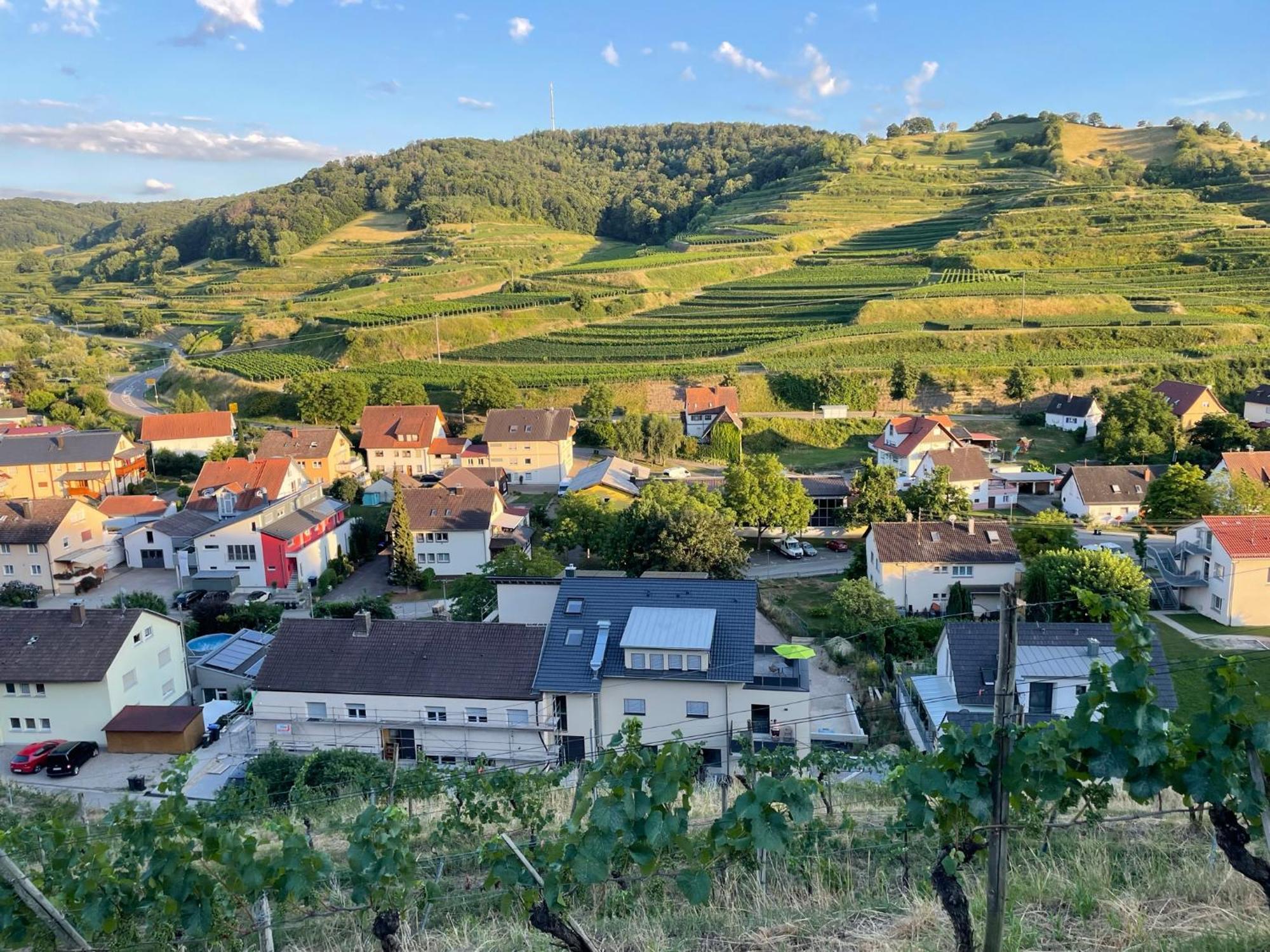 Апартаменты Weingut & Strausswirtschaft Vogel Фогтсбург Экстерьер фото